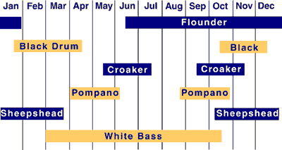 Fishing Chart